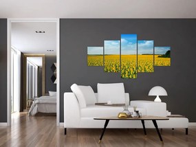 Obraz - ciąg słoneczników (125x70 cm)