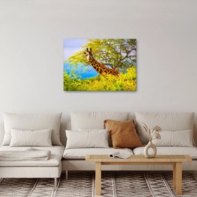 Obraz żyrafy w Afryce (70x50 cm)