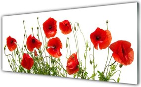 Panel nad blat kuchenny Polne Maki w Rozkwicie