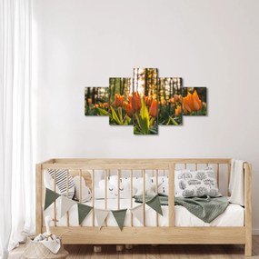 Obraz - kwiaty tulipanów (125x70 cm)