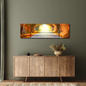 Obraz - Brama wykonana z koron drzew (170x50 cm)