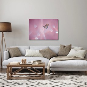 Obraz - Motyl (70x50 cm)