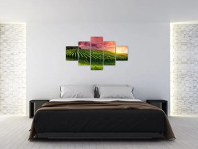 Obraz winnicy z kolorowym niebem (125x70 cm)
