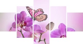 Obraz - Motyl na kwiatach orchidei, liliowy (125x70 cm)