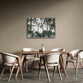 Obraz na szkle - dżungla w porannej mgle (70x50 cm)