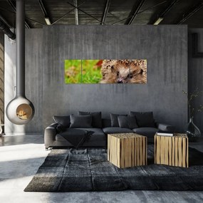 Obraz jeża (170x50 cm)