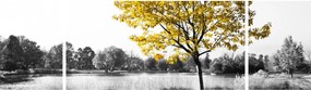 Obraz - Odpoczynek w parku (170x50 cm)