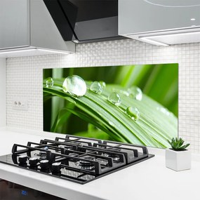 Szkło do Kuchni na Ścianę Kropla Rosy W Makrofotografii