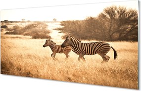 Panel szklany do Kuchni Sylwetka Zebry o Zachodzie