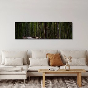 Obraz - Wśród bambusów (170x50 cm)