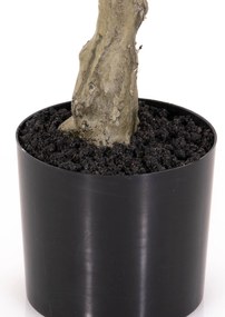 Sztuczna roślina drzewko kauczukowe, 69 cm