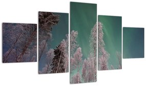 Obraz zorzy polarnej nad zamarzniętymi drzewami (125x70 cm)