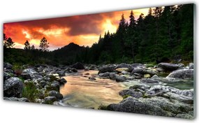 Panel Szklany Leśna Rzeka wpadająca do Jeziora
