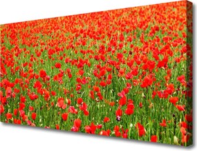 Obraz canvas Krwistoczerwone Maki