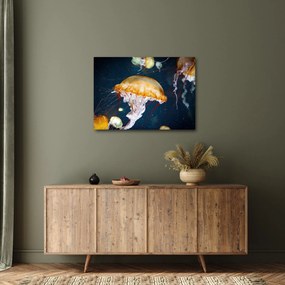 Obraz meduzy (70x50 cm)