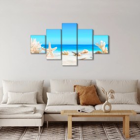 Obraz - Martwa natura z muszelkami (125x70 cm)