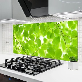 Panel Kuchenny Organiczne Formy Liści