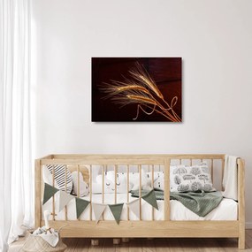 Obraz na szkle - Fragment kłosa żyta (70x50 cm)