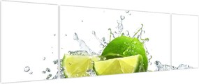 Obraz - Limes (170x50 cm)