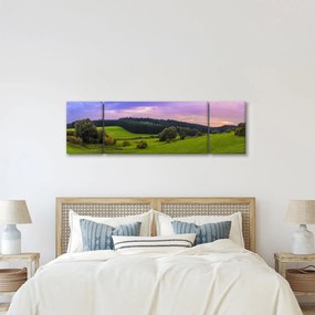 Obraz łąki (170x50 cm)