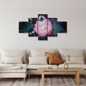 Obraz różowego kwiatu (125x70 cm)