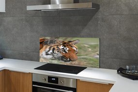 Panel szklany do Kuchni Władca Dżungli w Gęstwinie