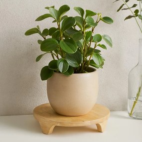 Drewniana podstawka pod kwiaty CON, drewno mango