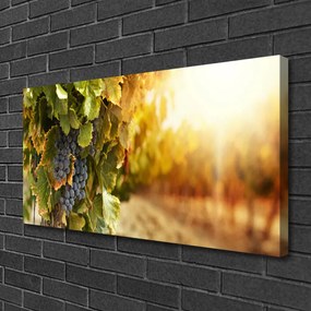 Obraz drukowany na płótnie Winna Winorośl w Detalu