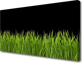 Obraz canvas Puszysta Kula Dmuchawca