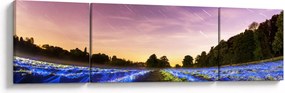 Obraz kolorowego pola (170x50 cm)