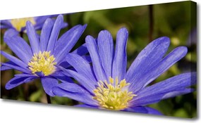 Duży obraz na płótnie Botaniczna Elegancja