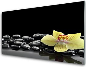 Panel Szklany Modernistyczny Akcent Kuchenny