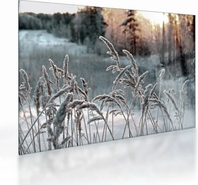 Obraz na szkle - Frozen Meadow (70x50 cm)