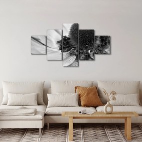 Obraz - Kwiat w czerni i bieli (125x70 cm)
