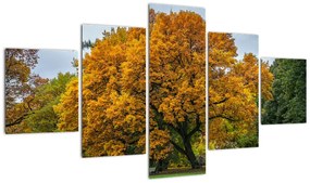 Obraz drzewa (125x70 cm)