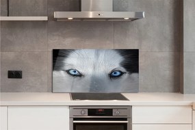 Szkło Ozdobne do Kuchni Przenikliwe Oczy Wilka