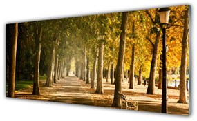 Obraz na Szkle Park Alejka Krajobraz