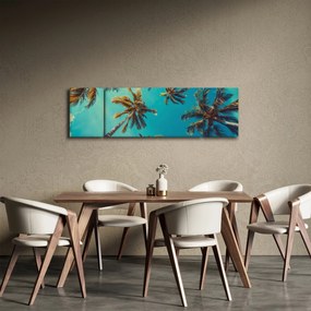 Obraz - Wysokie palmy (170x50 cm)
