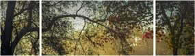 Obraz wschodu słońca (170x50 cm)