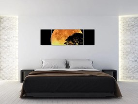 Obraz cieni w świetle księżyca (170x50 cm)
