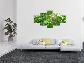 Obraz - Las (125x70 cm)