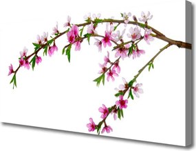 Obraz na płótnie Kwitnąca Gałązka Jabłoni
