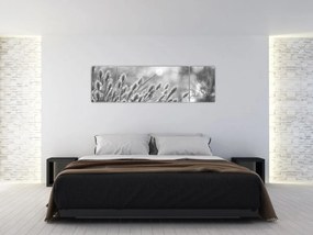 Obraz - Beżowa miękka trawa N⁰1 (170x50 cm)