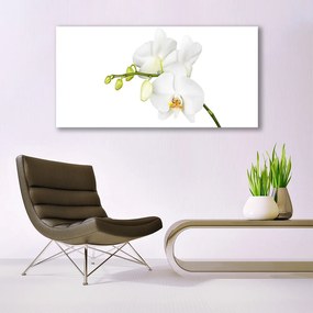 Obraz canvas Egzotyczna Elegancja Orchidei
