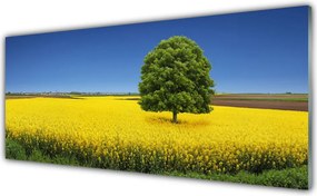 Panel Szklany do Kuchni Samotne Drzewo w Polu