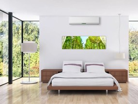 Obraz - Widok na las (170x50 cm)