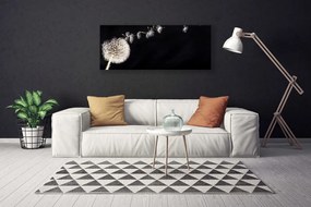 Obraz Canvas Dmuchawiec Kwiat Roślin