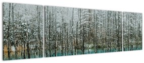 Obraz - Turkusowy staw, Biei, Japonia (170x50 cm)