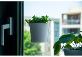 Plastikowe wiszące i ścienne doniczki zestaw 2 szt. ø 10 cm – Esschert Design