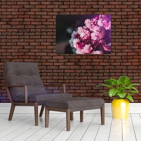 Obraz kwiatów drzewa (70x50 cm)